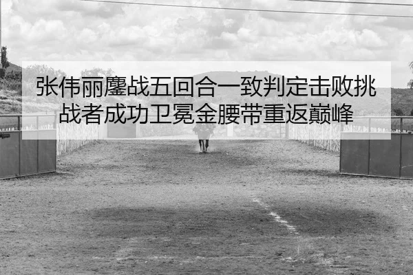zhang-wei-li-ao-zhan-wu-hui-he-yi-zhi-pan-ding-ji-bai-tiao-zhan-zhe-cheng-gong-wei-mian-jin-yao-dai-chong-fan-dian-feng-2-583.jpg